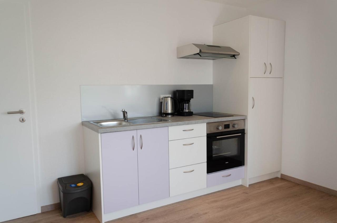 Chez Fabrice Apartment Gunstett ภายนอก รูปภาพ